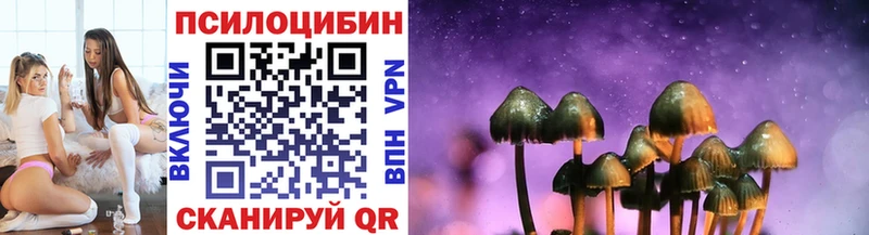 Галлюциногенные грибы прущие грибы  Венёв 